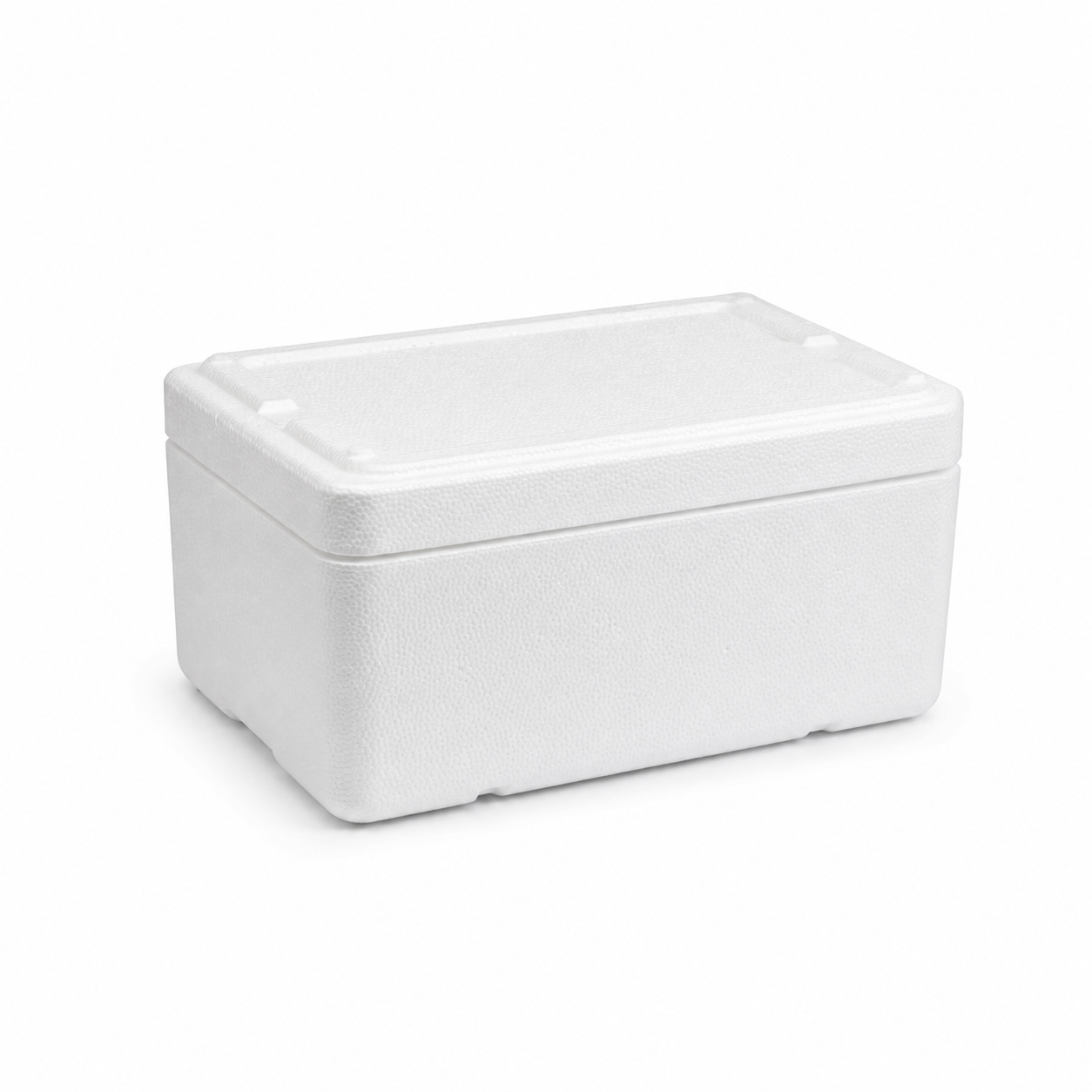 Caja Térmica EPS 4 Litros - Vista general