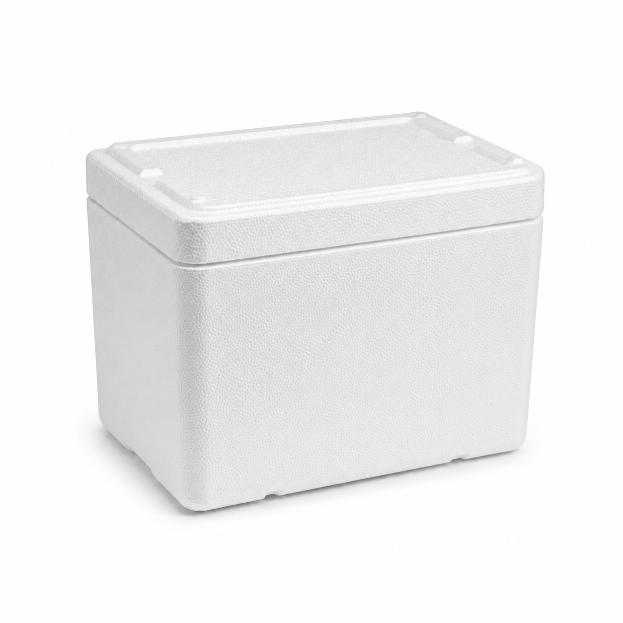 Caja Térmica EPS 9 Litros - vista exterior con tapa