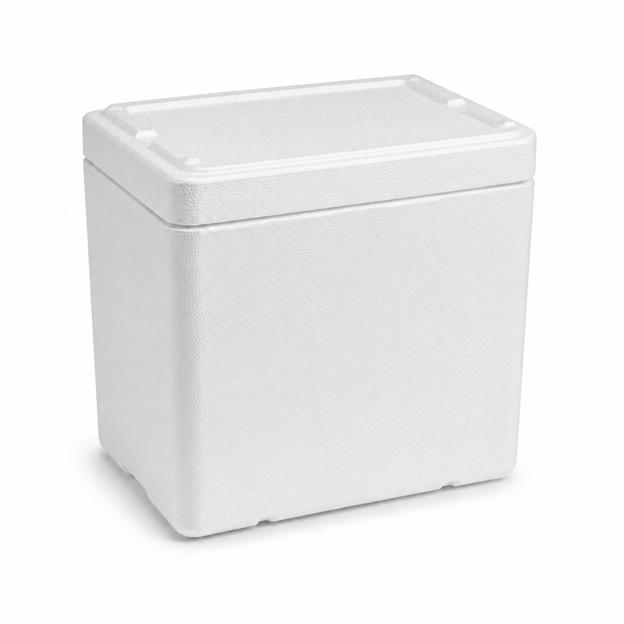 Caja Térmica EPS 12 Litros - vista exterior con tapa